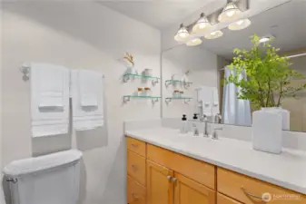 Primary full bathroom.