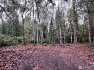 Semi-cleared and accessible