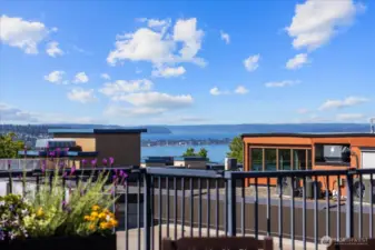 Views from rooftop.