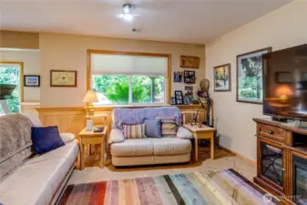 Living Area/Lower Level