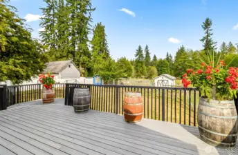 Imagine the entertainment & fun you could have on this deck!  Looks out onto the back of the property.