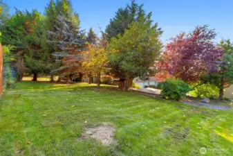 Expansive lawn area perfect for outdoor entertaining.