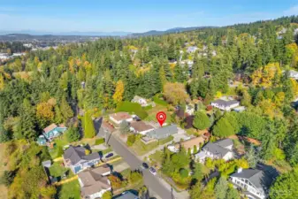 Neighborhood perspective highlighting spacious lots and greenbelt views.