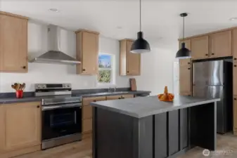 Well Designed Sleek Kitchen