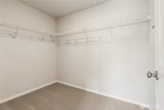 This is an example of an Alder in the community...Come see us 7 days a week to see in person!