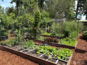 A gardeners delight!