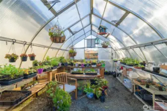 What a dream greenhouse!