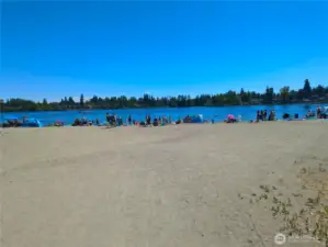 Beach @ Silver Lake