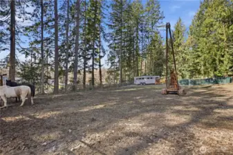 Horse area with shelter.