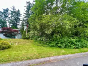 Property is white and trees