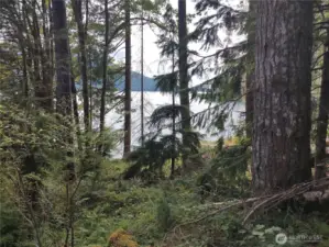 View of Lake Cushman