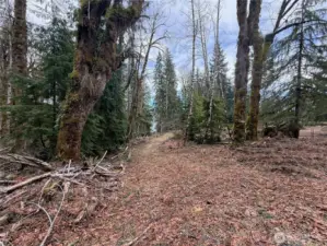 Entrance to E side of Property
