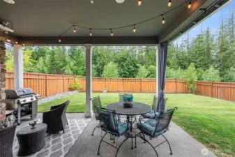 Covered 13X20 rear patio backs to greenery & low maintenance yard.
