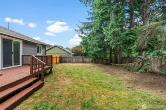 Large backyard