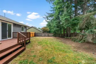Large backyard