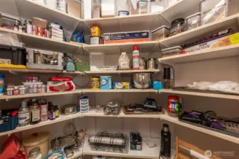Walk-in Pantry off the Kitchen