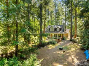 More yard, dog run area