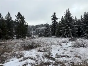 Relatively flat open spaces off of Redfield Rd.