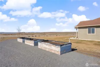 Raised garden beds...