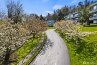 Beautiful trees at security gate entrance.