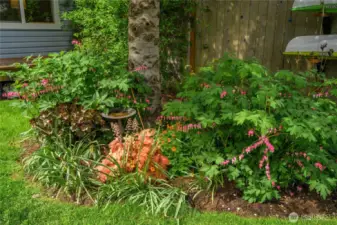 Lots of mature plants around property