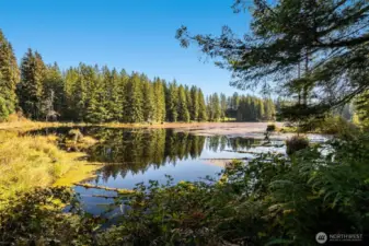 Lake
