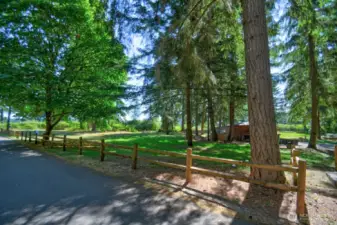 VIEW FROM THE LOT