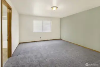 Primary bedroom with walk-in-closet and attached bath en-suite.