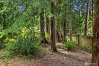 Wonderful woodland property makes for ample privacy.