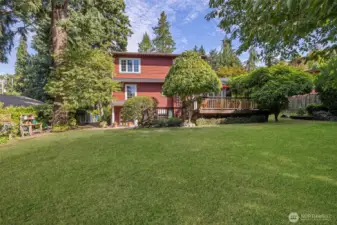 Huge back yard with a nice open space for outdoor activities.