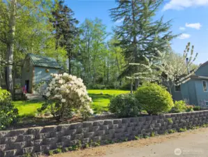 Side Yard