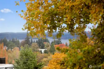 Views of Bellevue & Cascades from the living room & patio on a clear day