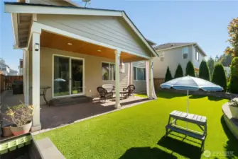 Professionally designed and constructed backyard.