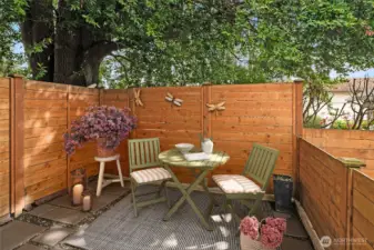 Back patio virtually staged.