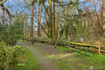 Serene open-space outlook showcasing the tranquil wooded surroundings that define this private Bainbridge Island setting.