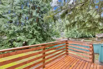 Large Deck in Private Yard