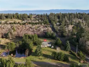 Willapa Bay in the background