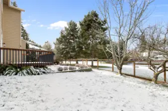 Back yard is fully fenced but visually open to the park.