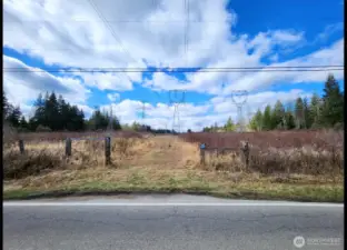 Wide open sky and trees