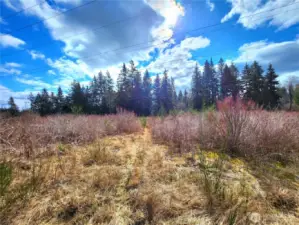 Wide open spaces - sunny and clear