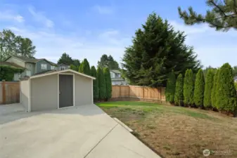Patio leading to shed.