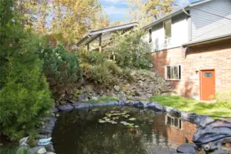 Backyard pond