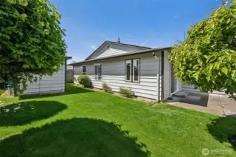 Private Backyard with a Fruit Tree and Room for a Garden!