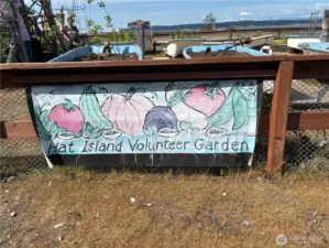 Community Garden