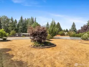 Huge yard with lots of possibilities.