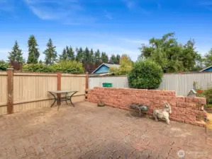 Large Patio with separation fence - leads to covered Deck & front Driveway.