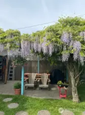 This cozy cabin is ideally situated in town, just a short walk to the beach, shopping, restaurants, and the bus line.