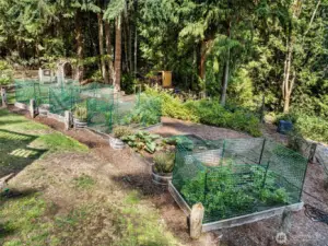 Raised Garden Beds