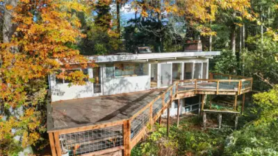 Drone of the back deck