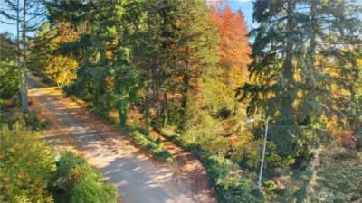 Drone of the driveway with the lots on the right